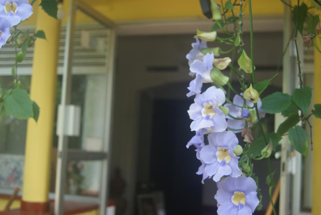 Ananda Home Stay And Restaurant Tangalle Exterior photo